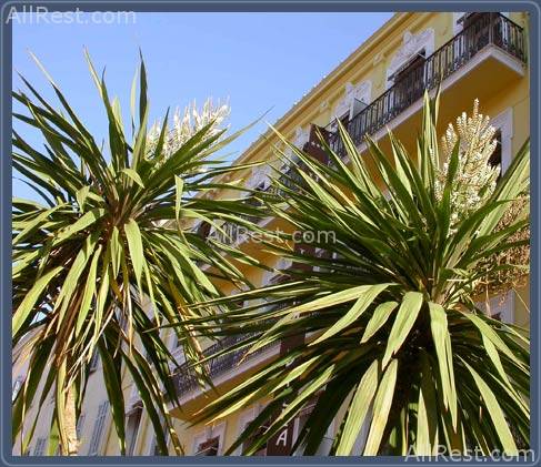 Hotel La Villa Tosca 11